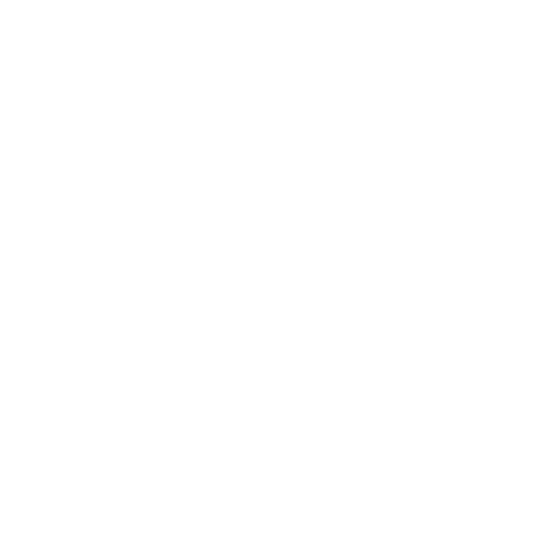 thinklecustoms.com